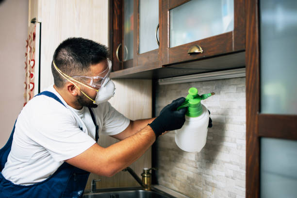 Best Exterminator Services  in Pine, AZ